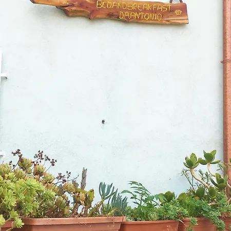 Da Antonio - 3*
