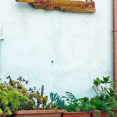 Da Antonio - 3* Orgosolo